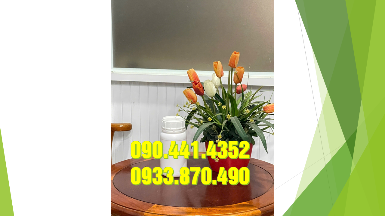cCpbX7JY.PNG