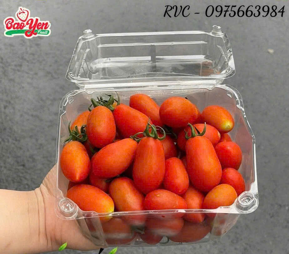 hop-dung-ca-chua-bi-20.06.jpg