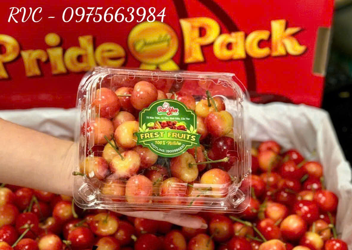 hop-dung-cherry-20.6.jpg
