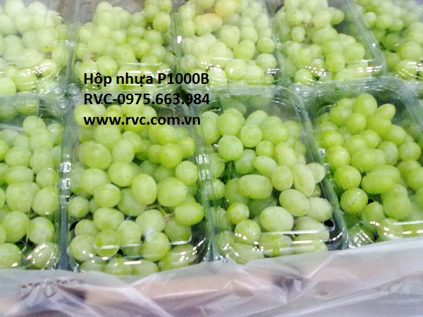 hop nhựa đựng nho 0234.jpg