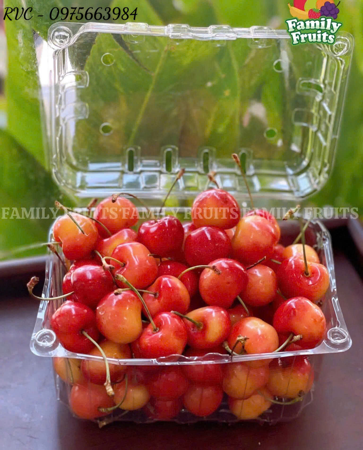 hop-nhua-dung-cherry-16.1.jpg