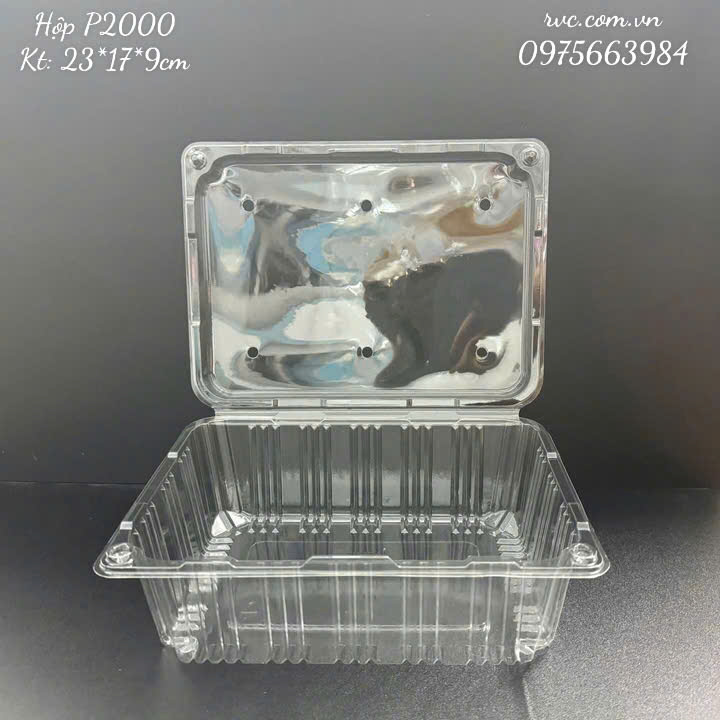 Hop-nhua-P2000.jpg