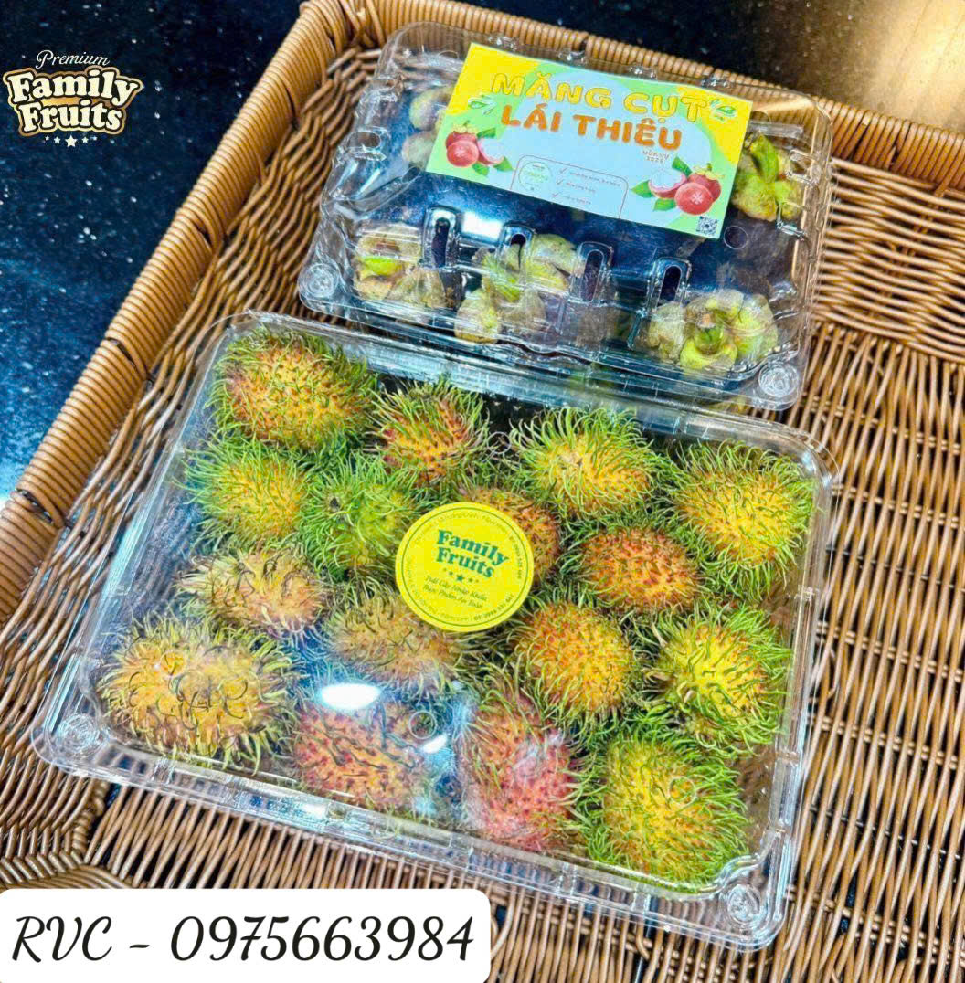 Hop-nhua-trai-cay.4.jpg