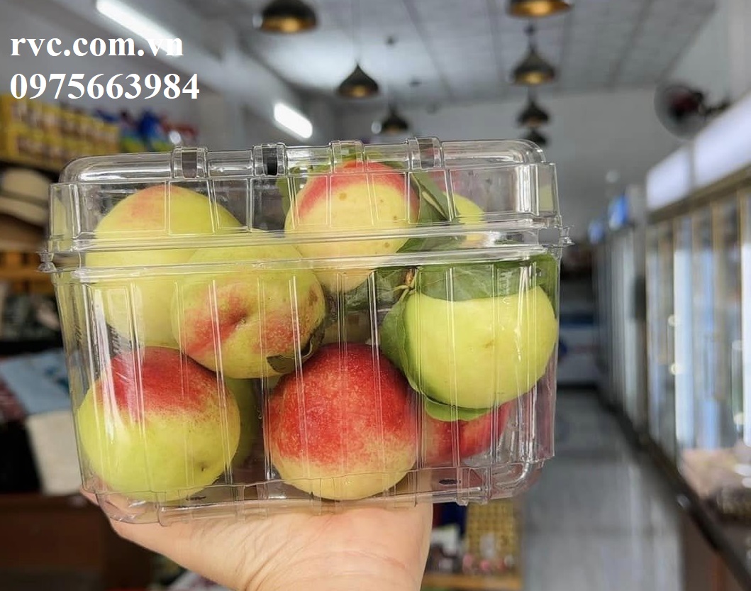 Hộp nhựa trong đựng trái cây 1kg P1000B an toàn, tiện lợi  Hop_dung_dao_25-1-jpg