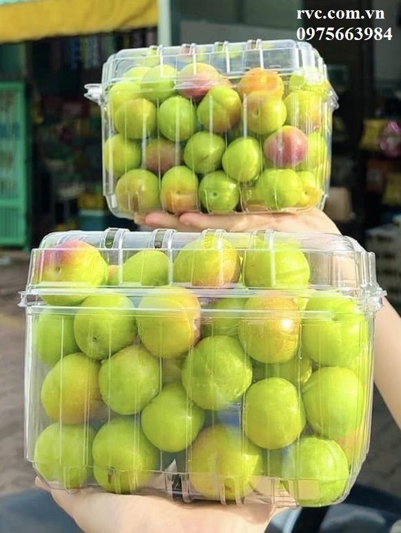 Câp nhật mẫu hộp nhựa trái cây P1000B giá tốt bạn nên biết