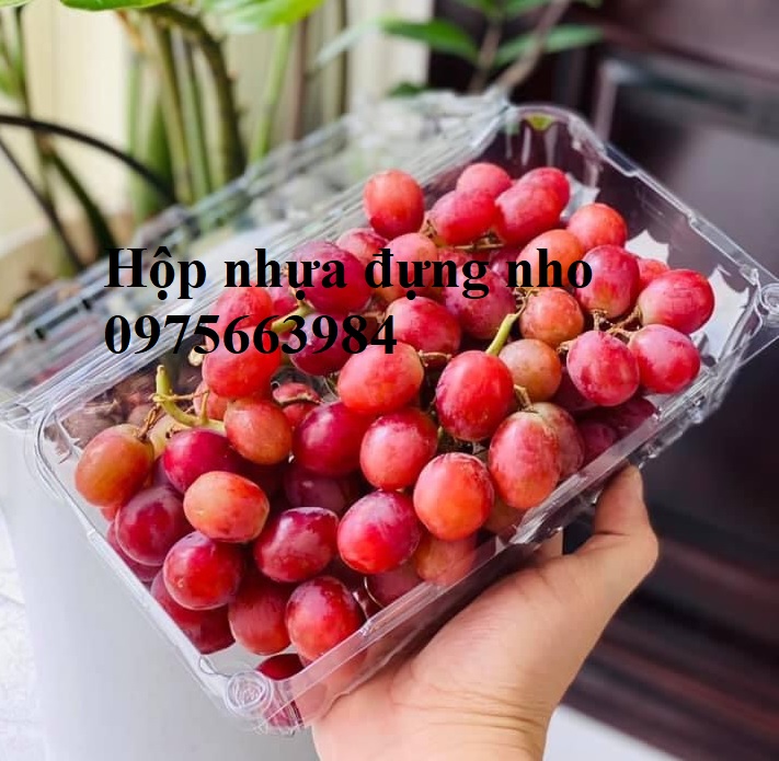 Hop_nhua_dung_500g_nho.jpg