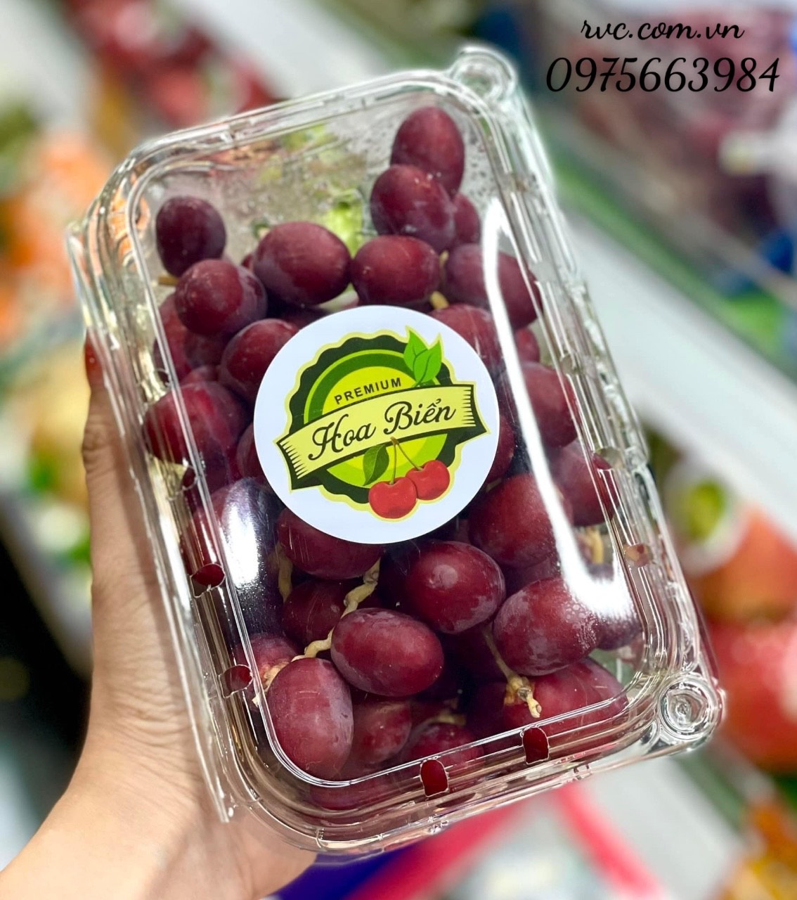 Hop_nhua_dung_cha_la_22.06.jpg