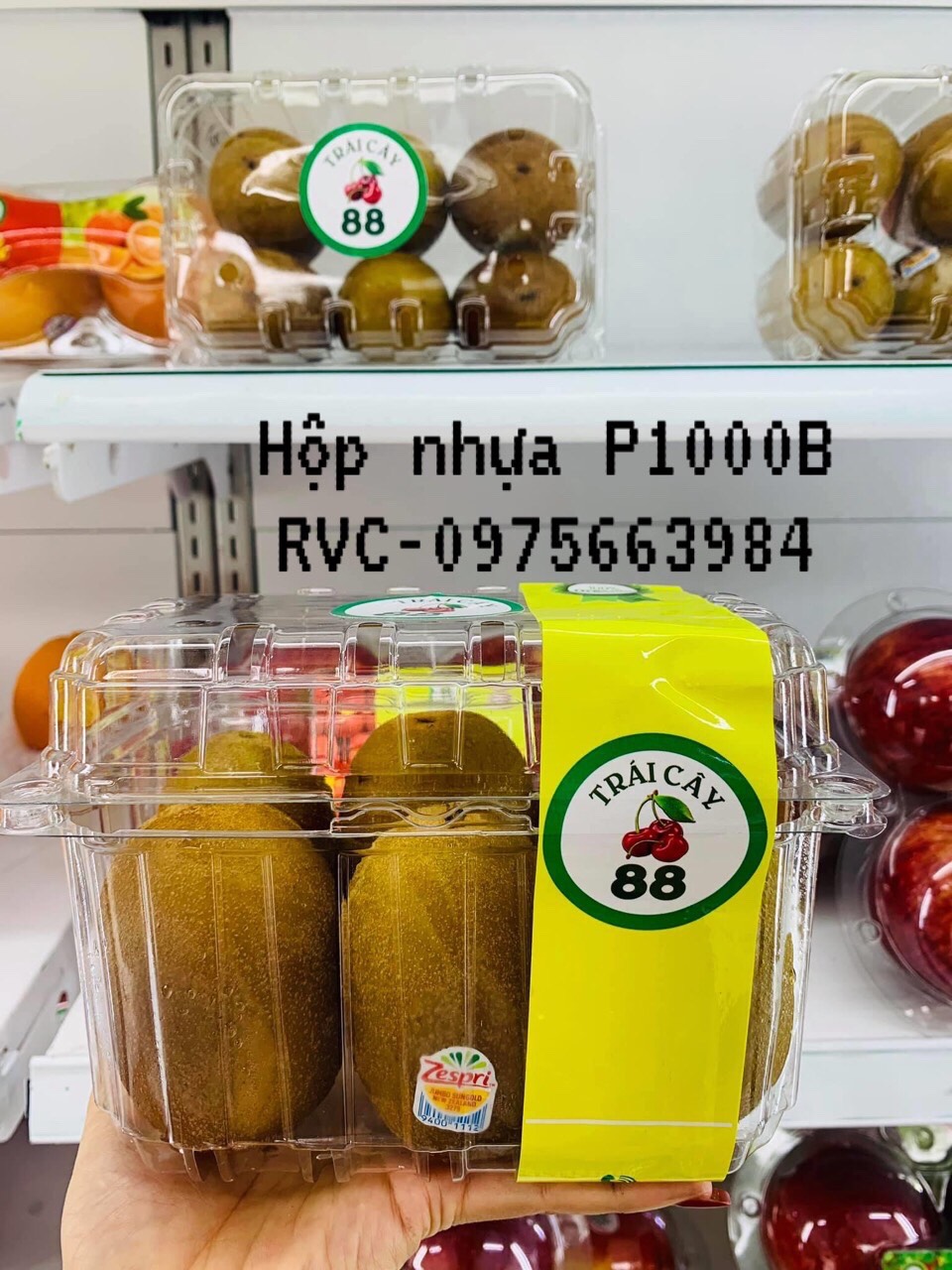 Hop_nhua_dung_kiwi.jpg