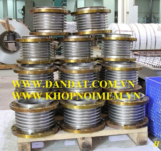 khop co gian co bich PN16.JPG