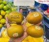 Hop_dung_4_trai_kiwi_25.jpg