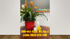 TqvC6sgH.PNG