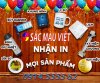 mẫu q c.jpg